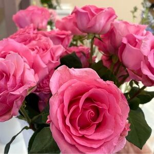 Meet your Posher, Angelina